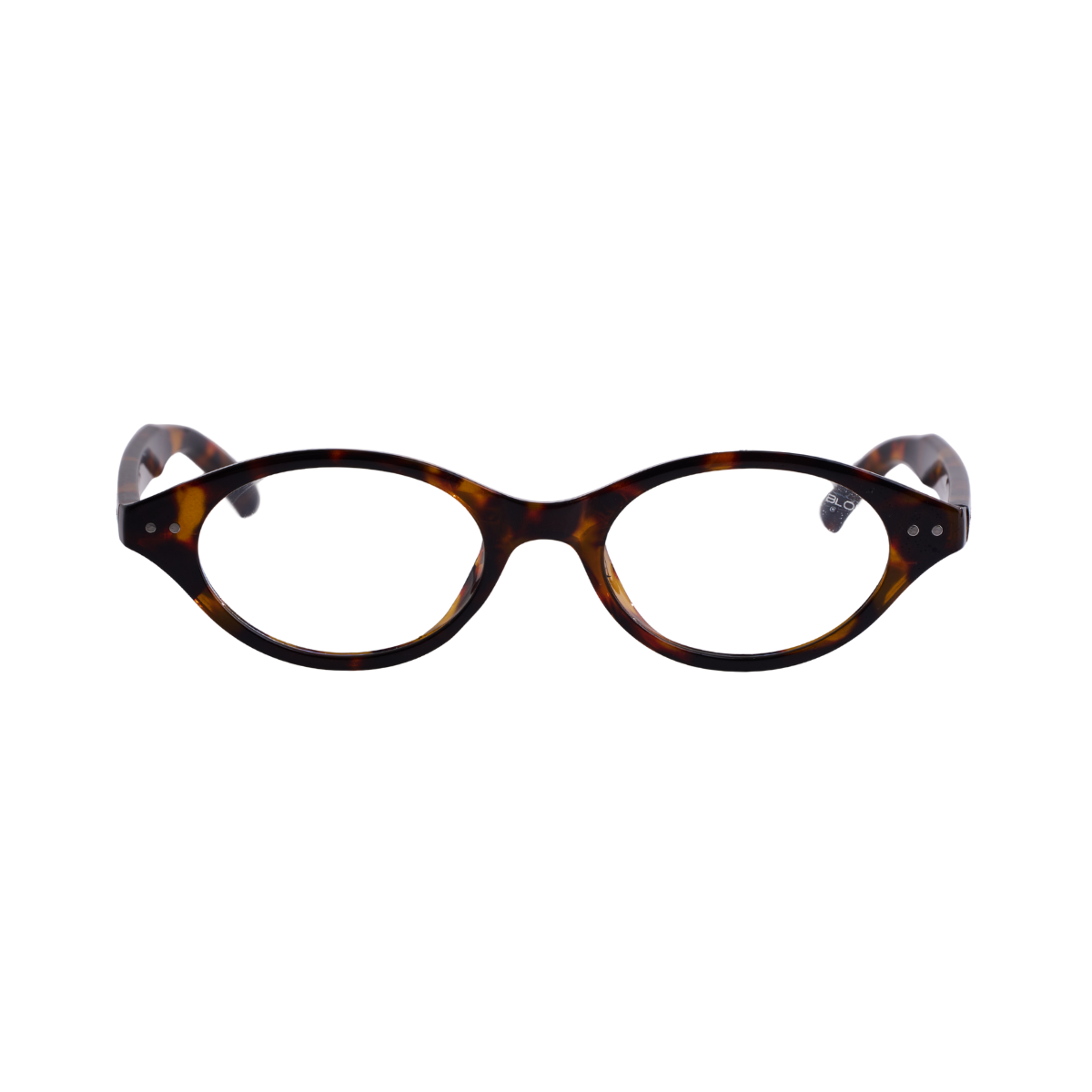 Sunglasses – Darwin